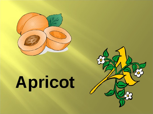 Apricot 