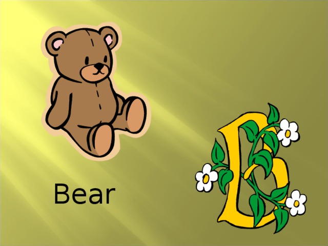 B ear 