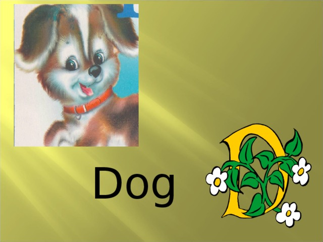 Dog 