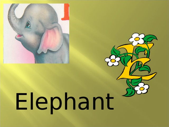 E lephant 