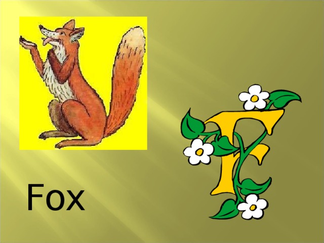 Fox 