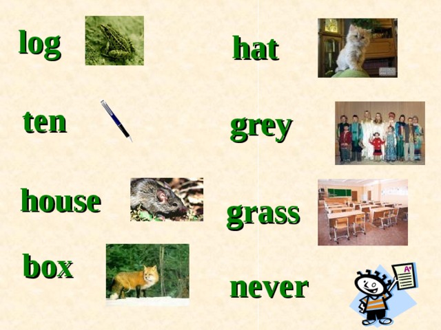 log hat ten grey house grass box never 