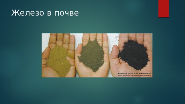 Железо в почве 
