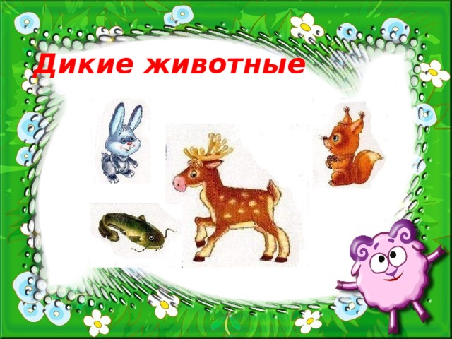 Дикие животные 