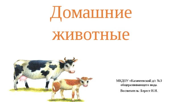 Домашние животные МКДОУ «Калачеевский д/с №3 общеразвивающего вида. Воспитатель: Берест Н.Н. 