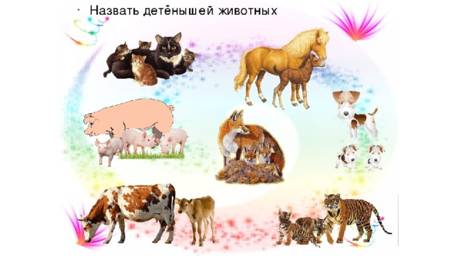 Назови детеныша животного 