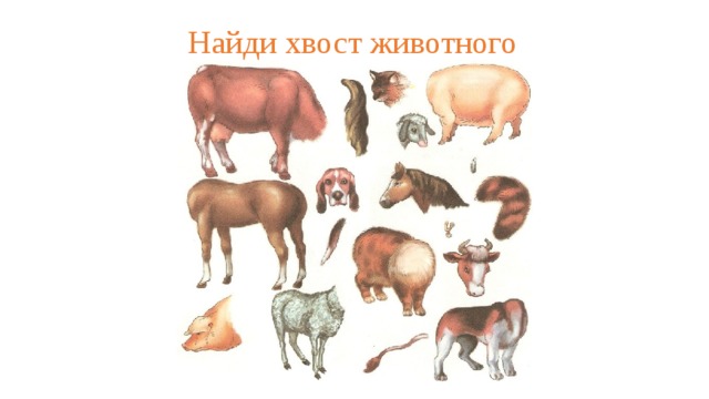 Найди хвост животного 