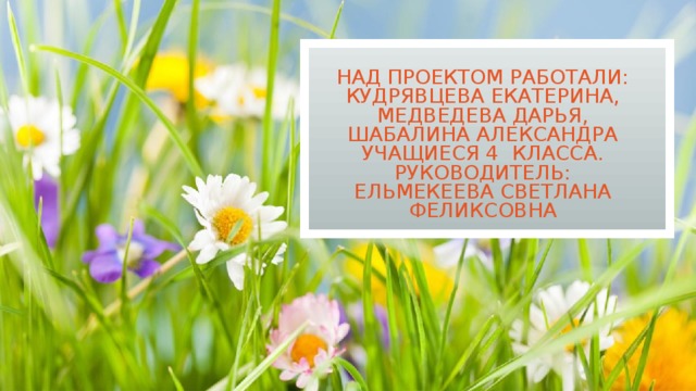 Над проектом работали:  Кудрявцева Екатерина,  Медведева Дарья,  Шабалина Александра  учащиеся 4 класса.  Руководитель:  Ельмекеева Светлана Феликсовна  