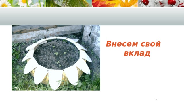 Внесем свой вклад  
