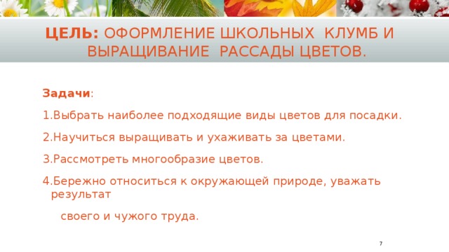 Цель: Оформление школьных клумб и выращивание рассады цветов. Задачи : 1.Выбрать наиболее подходящие виды цветов для посадки. 2.Научиться выращивать и ухаживать за цветами. 3.Рассмотреть многообразие цветов. 4.Бережно относиться к окружающей природе, уважать результат  своего и чужого труда.  