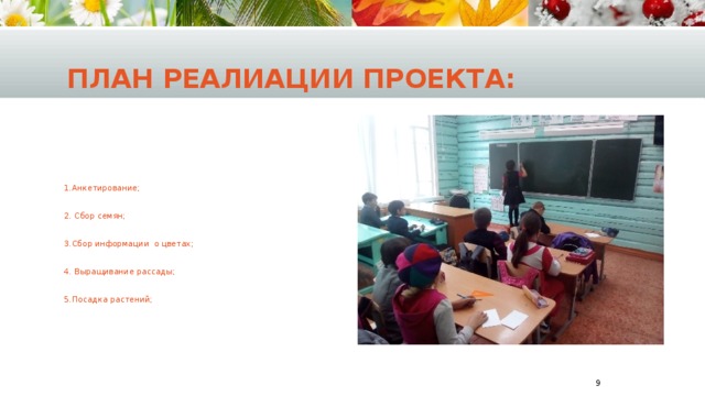 План реалиации проекта: 1.Анкетирование; 2. Сбор семян; 3.Сбор информации о цветах; 4. Выращивание рассады; 5.Посадка растений;  