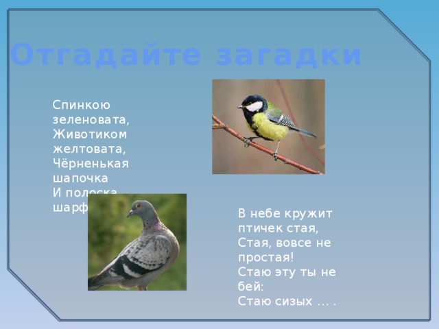 Отгадайте загадки Спинкою зеленовата, Животиком желтовата, Чёрненькая шапочка И полоска шарфика. В небе кружит птичек стая, Стая, вовсе не простая! Стаю эту ты не бей: Стаю сизых … . 