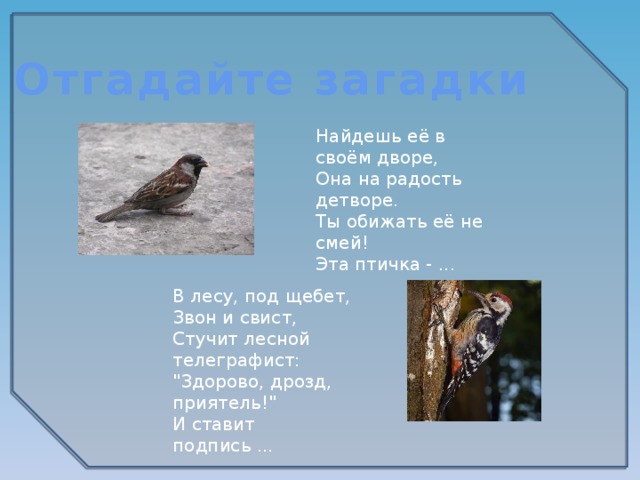 Отгадайте загадки Найдешь её в своём дворе, Она на радость детворе. Ты обижать её не смей! Эта птичка - ... В лесу, под щебет, Звон и свист, Стучит лесной телеграфист: 