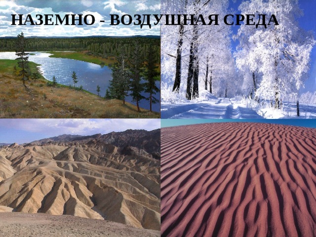 НАЗЕМНО - ВОЗДУШНАЯ СРЕДА 