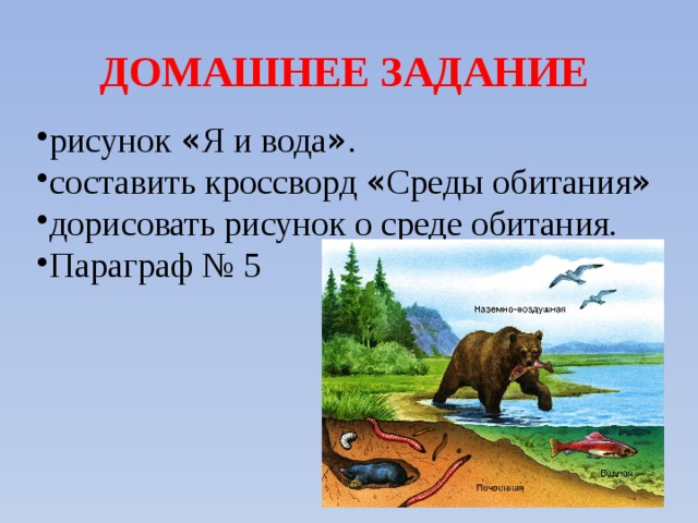 ДОМАШНЕЕ ЗАДАНИЕ рисунок « Я и вода » . составить кроссворд « Среды обитания » дорисовать рисунок о среде обитания. Параграф № 5 