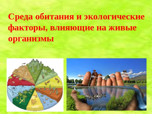 Среда обитания и экологические факторы, влияющие на живые организмы   