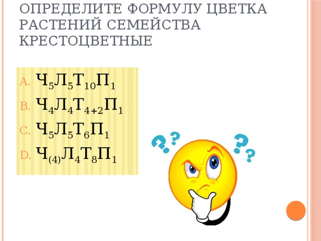 Определите формулу цветка растений семейства Крестоцветные Ч 5 Л 5 Т 10 П 1 Ч 4 Л 4 Т 4+2 П 1 Ч 5 Л 5 Т 6 П 1 Ч (4) Л 4 Т 8 П 1 