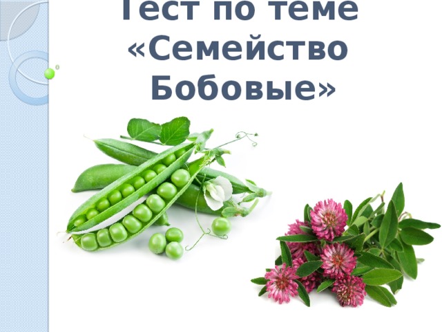 Тест по теме  «Семейство Бобовые» 