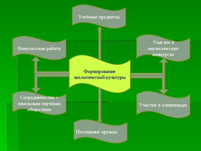 Учебные предметы Участие в экологических конкурсах Внеклассная работа Формирование экологической культуры Сотрудничество с школьным научным обществом Участие в олимпиадах Посещение кружка 