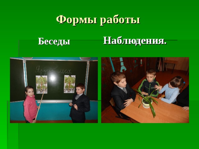 Формы работы Беседы Наблюдения. 