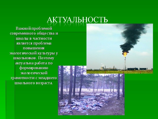 Важной проблемой современного общества и школы в частности является проблема повышения экологической культуры у школьников. Поэтому актуальна работа по формированию экологической грамотности с младшего школьного возраста.   