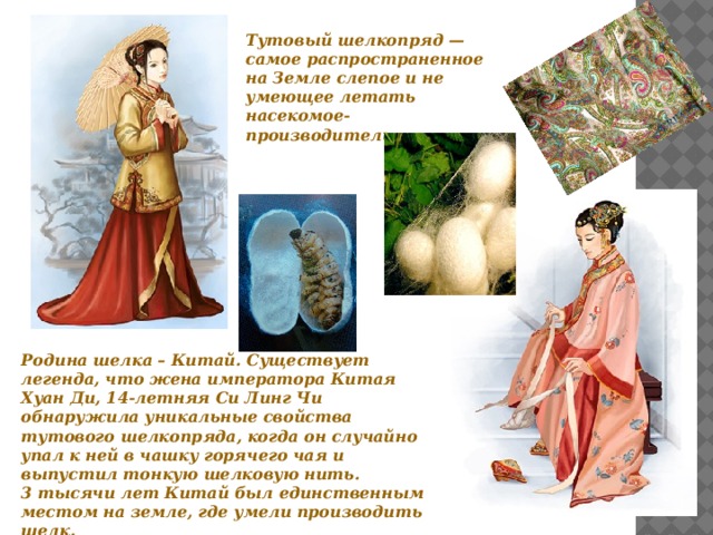 Тутовый шелкопряд — самое распространенное на Земле слепое и не умеющее летать насекомое-производитель. Родина шелка – Китай. Существует легенда, что жена императора Китая Хуан Ди, 14-летняя Си Линг Чи обнаружила уникальные свойства тутового шелкопряда, когда он случайно упал к ней в чашку горячего чая и выпустил тонкую шелковую нить.  3 тысячи лет Китай был единственным местом на земле, где умели производить шелк. 