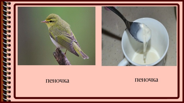 пеночка пеночка 