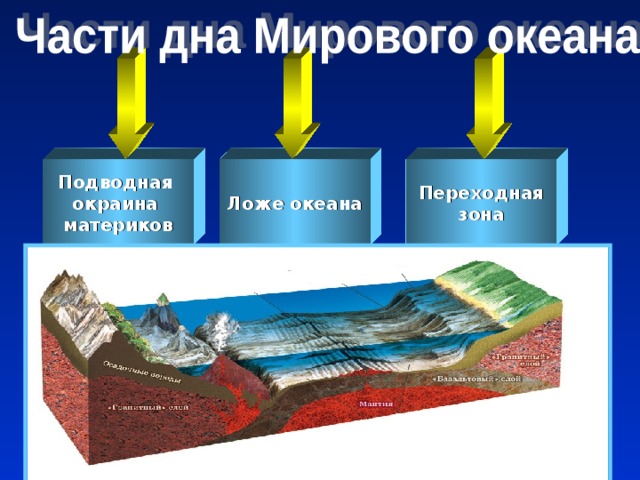 Подводная окраина материков Ложе океана Переходная зона 