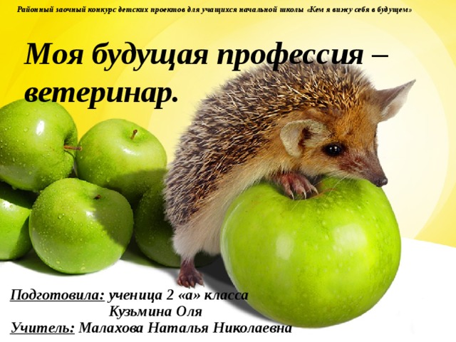 Районный заочный конкурс детских проектов для учащихся начальной школы «Кем я вижу себя в будущем»  Моя будущая профессия – ветеринар. Подготовила: ученица 2 «а» класса  Кузьмина Оля Учитель: Малахова Наталья Николаевна  