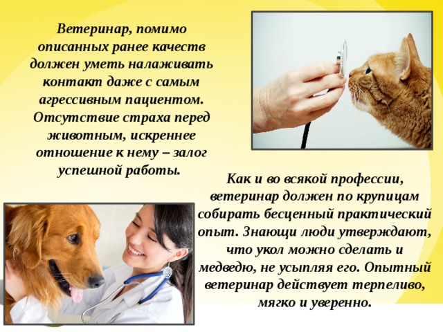 Ветеринар, помимо описанных ранее качеств должен уметь налаживать контакт даже с самым агрессивным пациентом. Отсутствие страха перед животным, искреннее отношение к нему – залог успешной работы. Как и во всякой профессии, ветеринар должен по крупицам собирать бесценный практический опыт. Знающи люди утверждают, что укол можно сделать и медведю, не усыпляя его. Опытный ветеринар действует терпеливо, мягко и уверенно.  