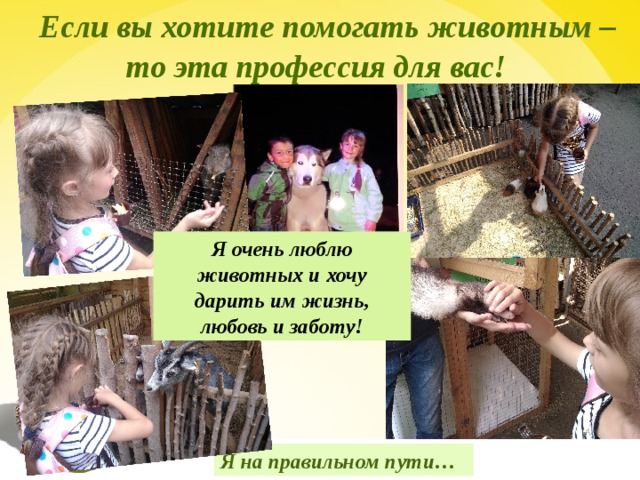  Если вы хотите помогать животным – то эта профессия для вас! Я очень люблю животных и хочу дарить им жизнь, любовь и заботу! Я на правильном пути… 17 