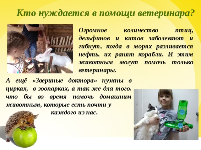  Кто нуждается в помощи ветеринара? Огромное количество птиц, дельфинов и китов заболевают и гибнут, когда в морях разливается нефть, их ранят корабли. И этим животным могут помочь только ветеринары. А ещё «Звериные доктора» нужны в цирках, в зоопарках, а так же для того, что бы во время помочь домашним животным, которые есть почти у  каждого из нас.  