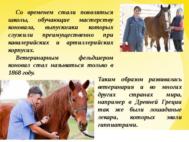 Со временем стали появляться школы, обучающие мастерству коновала, выпускники которых служили преимущественно при кавалерийских и артиллерийских корпусах. Ветеринарным фельдшером коновал стал называться только в 1868 году. Таким образом развивалась ветеринария и во многих других странах мира, например в Древней Греции так же были лошадиные лекари, которых звали гиппиатрами.  