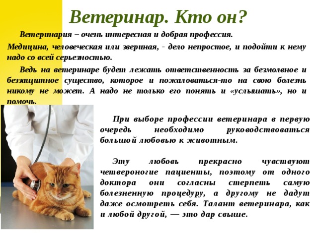 Ветеринар. Кто он? Ветеринария – очень интересная и добрая профессия. Медицина, человеческая или звериная, - дело непростое, и подойти к нему надо со всей серьезностью. Ведь на ветеринаре будет лежать ответственность за безмолвное и беззащитное существо, которое и пожаловаться-то на свою болезнь никому не может. А надо не только его понять и «услышать», но и помочь. При выборе профессии ветеринара в первую очередь необходимо руководствоваться большой любовью к животным.  Эту любовь прекрасно чувствуют четвероногие пациенты, поэтому от одного доктора они согласны стерпеть самую болезненную процедуру, а другому не дадут даже осмотреть себя. Талант ветеринара, как и любой другой, — это дар свыше.  
