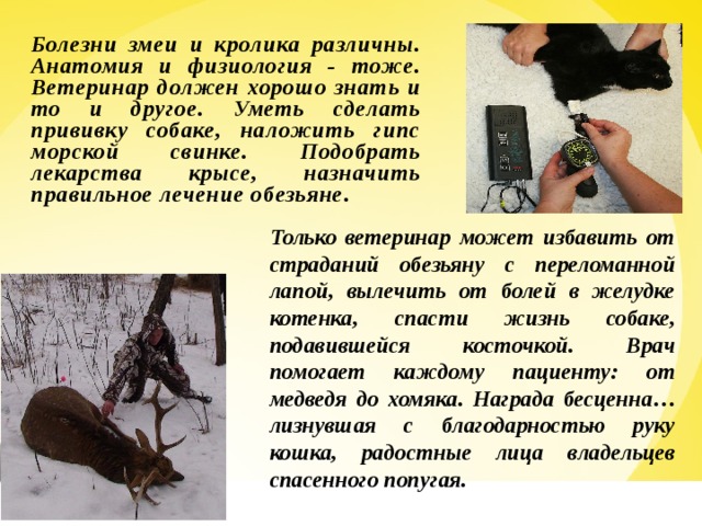 Болезни змеи и кролика различны. Анатомия и физиология - тоже. Ветеринар должен хорошо знать и то и другое. Уметь сделать прививку собаке, наложить гипс морской свинке. Подобрать лекарства крысе, назначить правильное лечение обезьяне. Только ветеринар может избавить от страданий обезьяну с переломанной лапой, вылечить от болей в желудке котенка, спасти жизнь собаке, подавившейся косточкой. Врач помогает каждому пациенту: от медведя до хомяка. Награда бесценна… лизнувшая с благодарностью руку кошка, радостные лица владельцев спасенного попугая.  