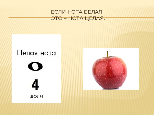 Если нота белая,  Это – нота целая. 