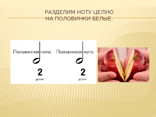 Разделим ноту целую  На половинки белые. 