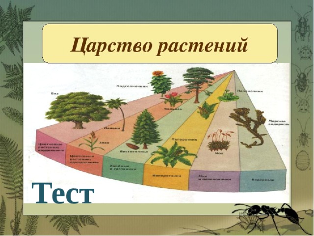 Тест 