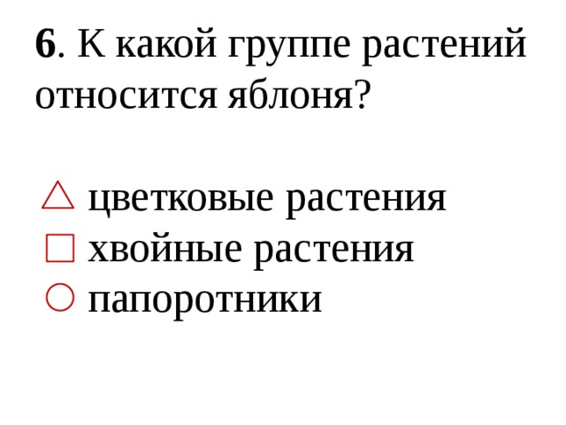 6 . К какой группе растений относится яблоня?  цветковые растения  хвойные растения  папоротники 