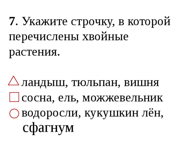 7 . Укажите строчку, в которой перечислены хвойные растения.  ландыш, тюльпан, вишня  сосна, ель, можжевельник  водоросли, кукушкин лён, сфагнум 