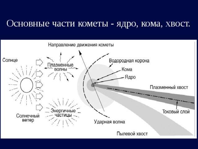 Основные части кометы - ядро, кома, хвост. 