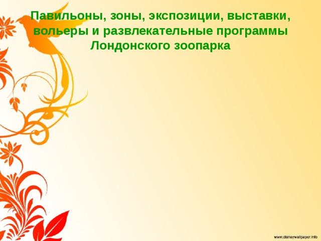 Павильоны, зоны, экспозиции, выставки, вольеры и развлекательные программы Лондонского зоопарка 