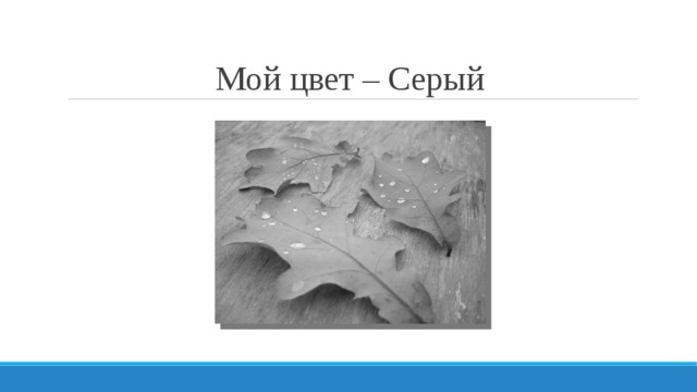 Мой цвет – Серый 