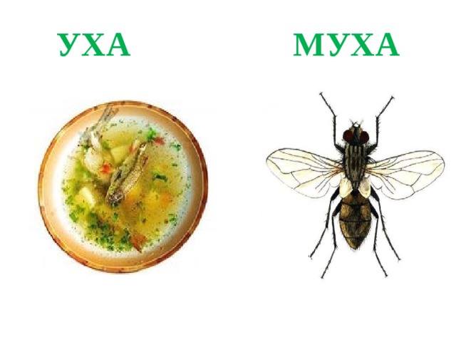 УХА МУХА 