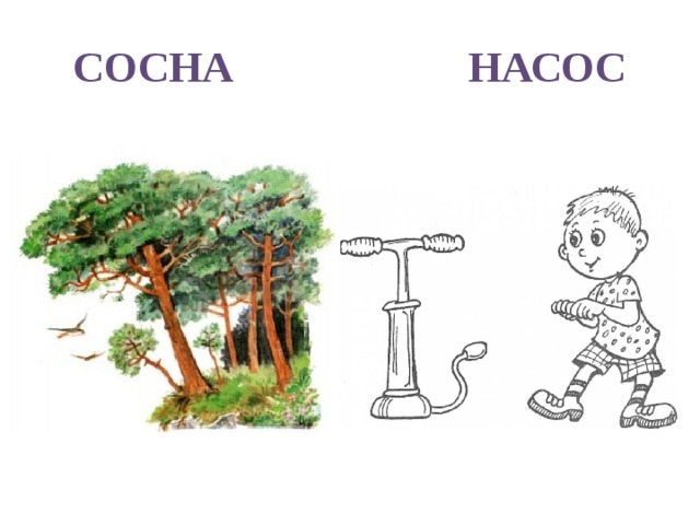 СОСНА НАСОС 