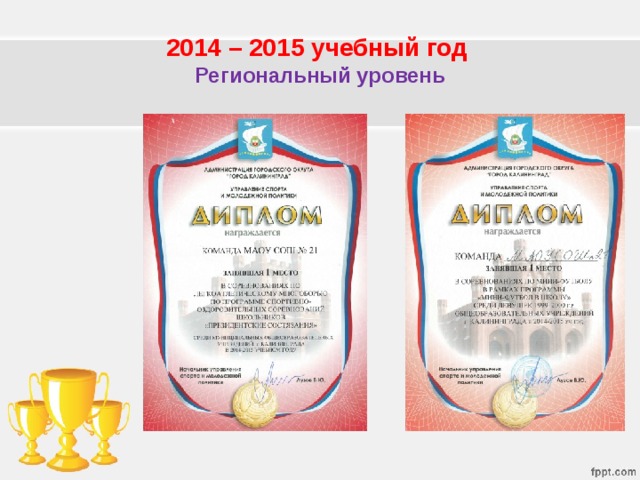 2014 – 2015 учебный год  Региональный уровень 
