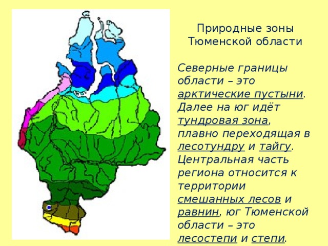 Природные зоны Тюменской области Северные границы области – это арктические пустыни . Далее на юг идёт тундровая зона , плавно переходящая в лесотундру и тайгу . Центральная часть региона относится к территории смешанных лесов и равнин , юг Тюменской области – это лесостепи и степи . Природная зона Тюмени – лесостепь. 