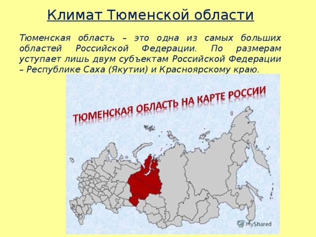 Климат Тюменской области Тюменская область – это одна из самых больших областей Российской Федерации. По размерам уступает лишь двум субъектам Российской Федерации – Республике Саха (Якутии) и Красноярскому краю. 
