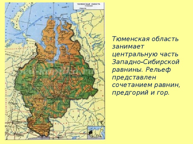 Тюменская область занимает центральную часть Западно-Сибирской равнины. Рельеф представлен сочетанием равнин, предгорий и гор.   