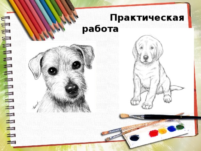  Практическая работа 